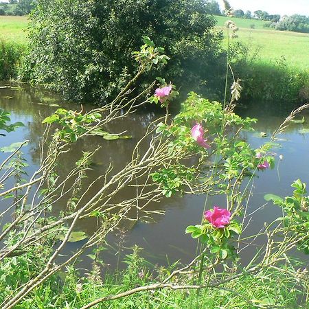 Gite De L'Aure Trevieres Bagian luar foto