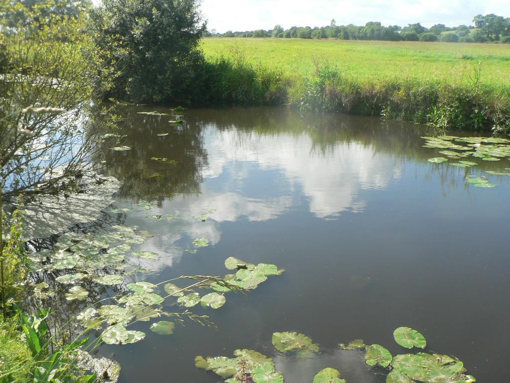 Gite De L'Aure Trevieres Bagian luar foto