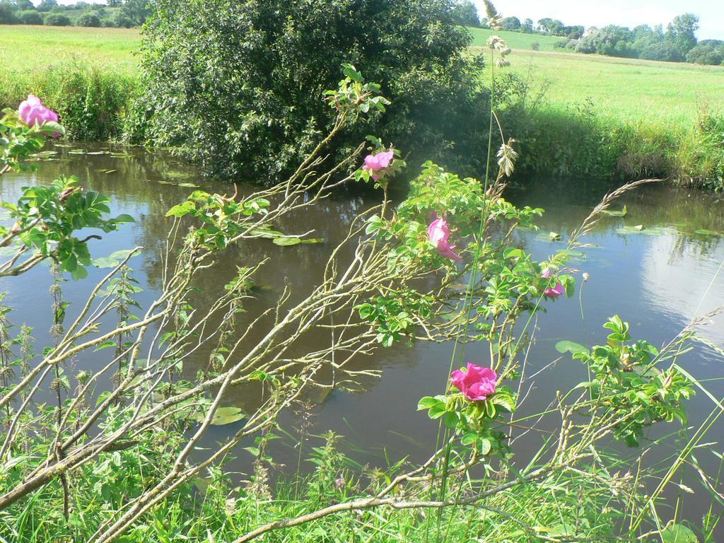 Gite De L'Aure Trevieres Bagian luar foto